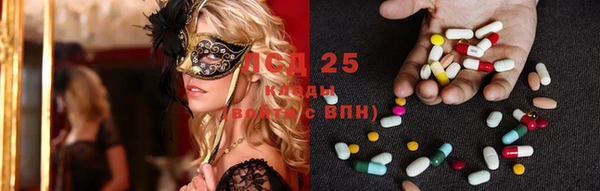2c-b Богородицк