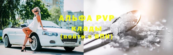 ГАЛЛЮЦИНОГЕННЫЕ ГРИБЫ Богданович