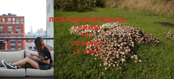 ГАЛЛЮЦИНОГЕННЫЕ ГРИБЫ Богданович