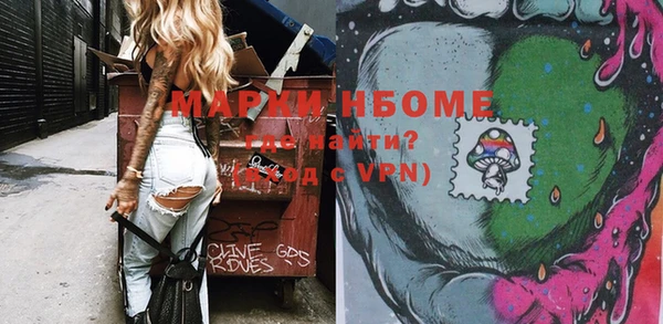 ГАЛЛЮЦИНОГЕННЫЕ ГРИБЫ Богданович