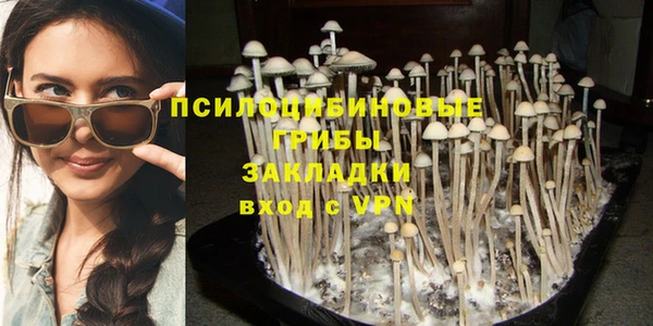 ALPHA PVP Белокуриха
