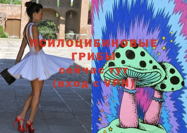 ГАЛЛЮЦИНОГЕННЫЕ ГРИБЫ Богданович