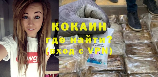 ГАЛЛЮЦИНОГЕННЫЕ ГРИБЫ Богданович