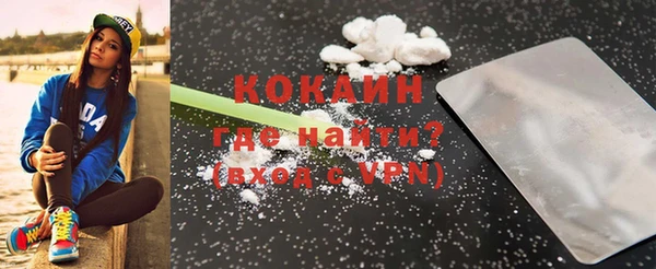 ГАЛЛЮЦИНОГЕННЫЕ ГРИБЫ Богданович