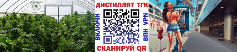 Дистиллят ТГК гашишное масло  Полесск 