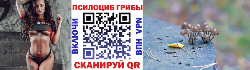 как найти   Полесск  Псилоцибиновые грибы MAGIC MUSHROOMS 